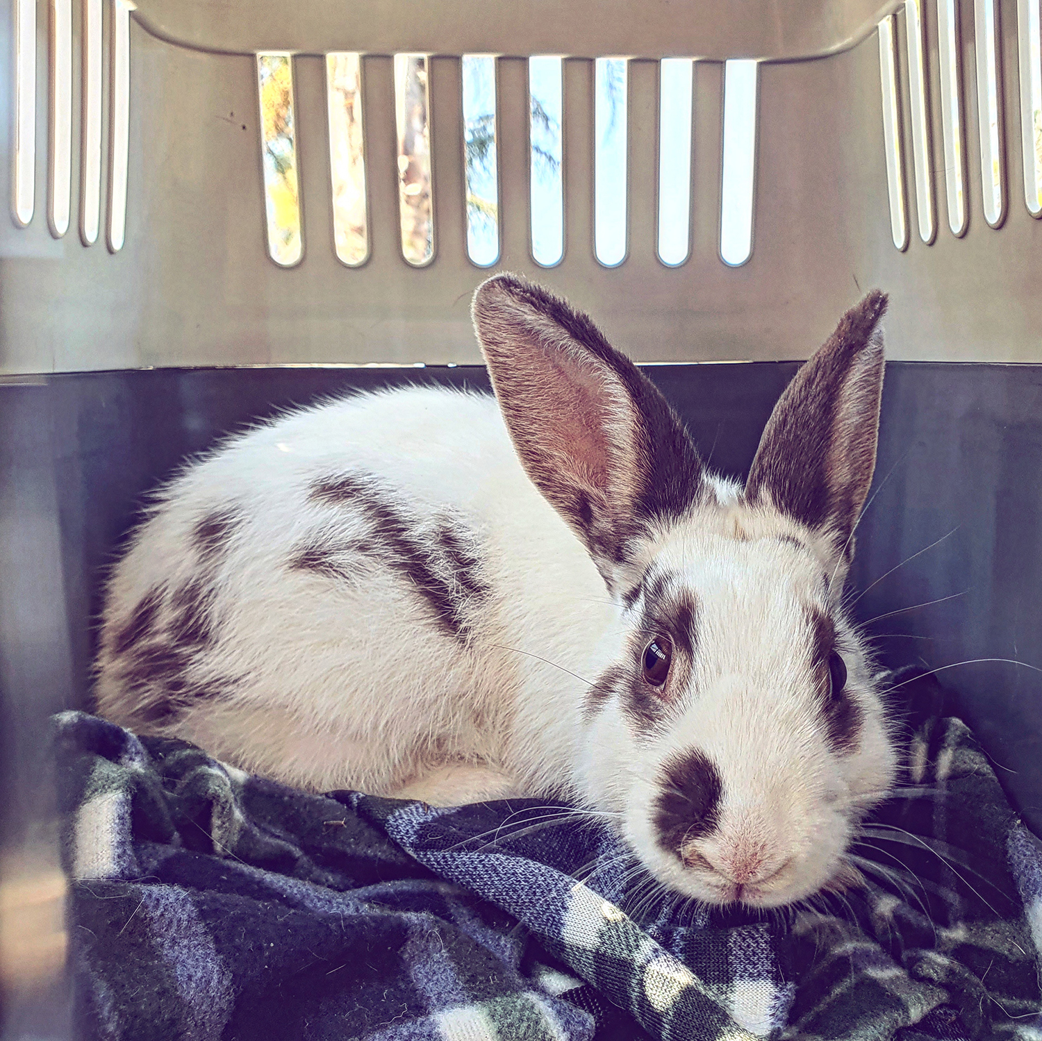 IMG_20220525_180417_860