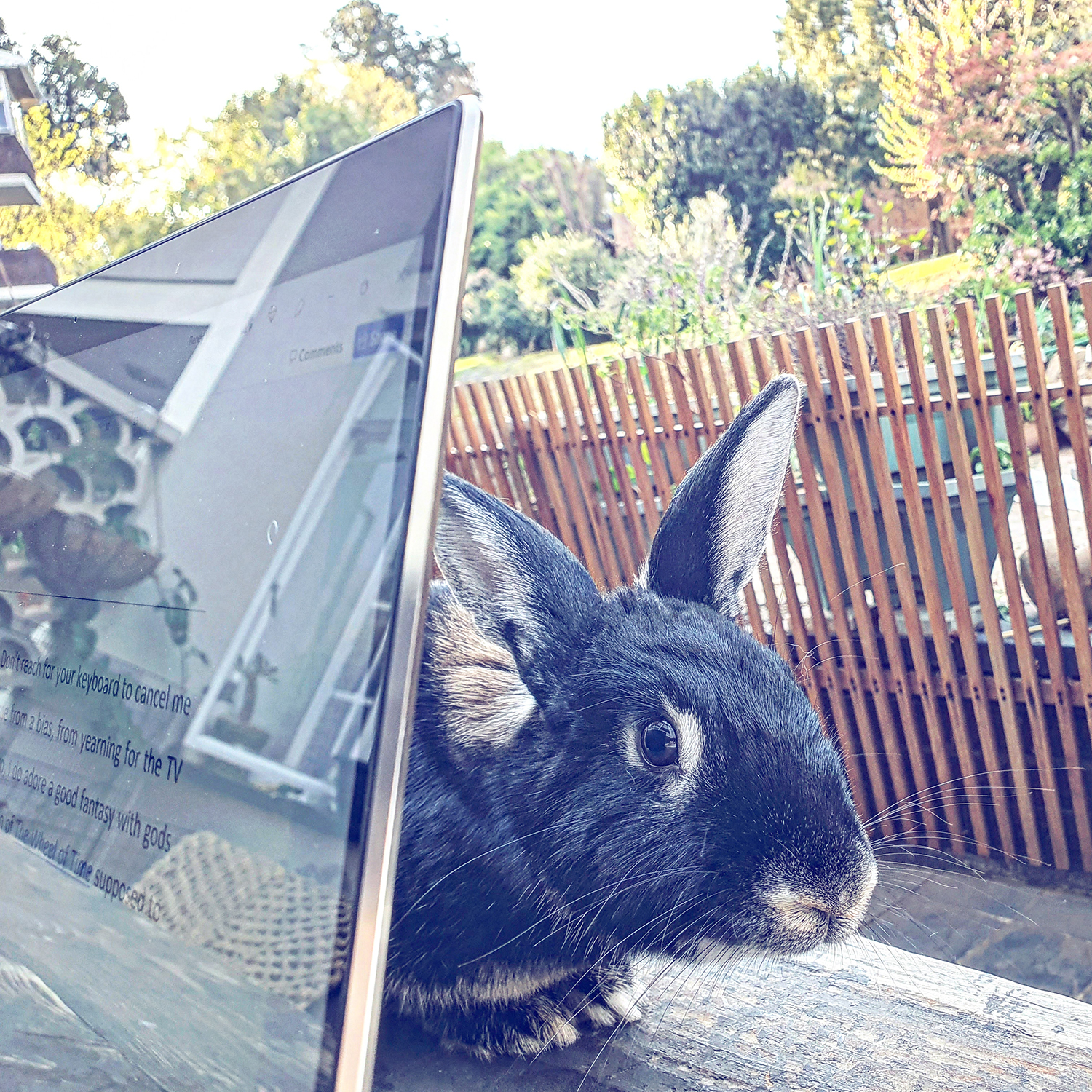 IMG_20220826_162444_732