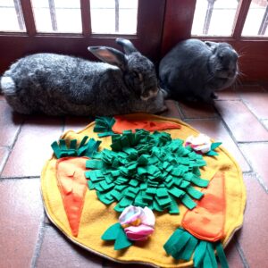 Snuffle mat – round