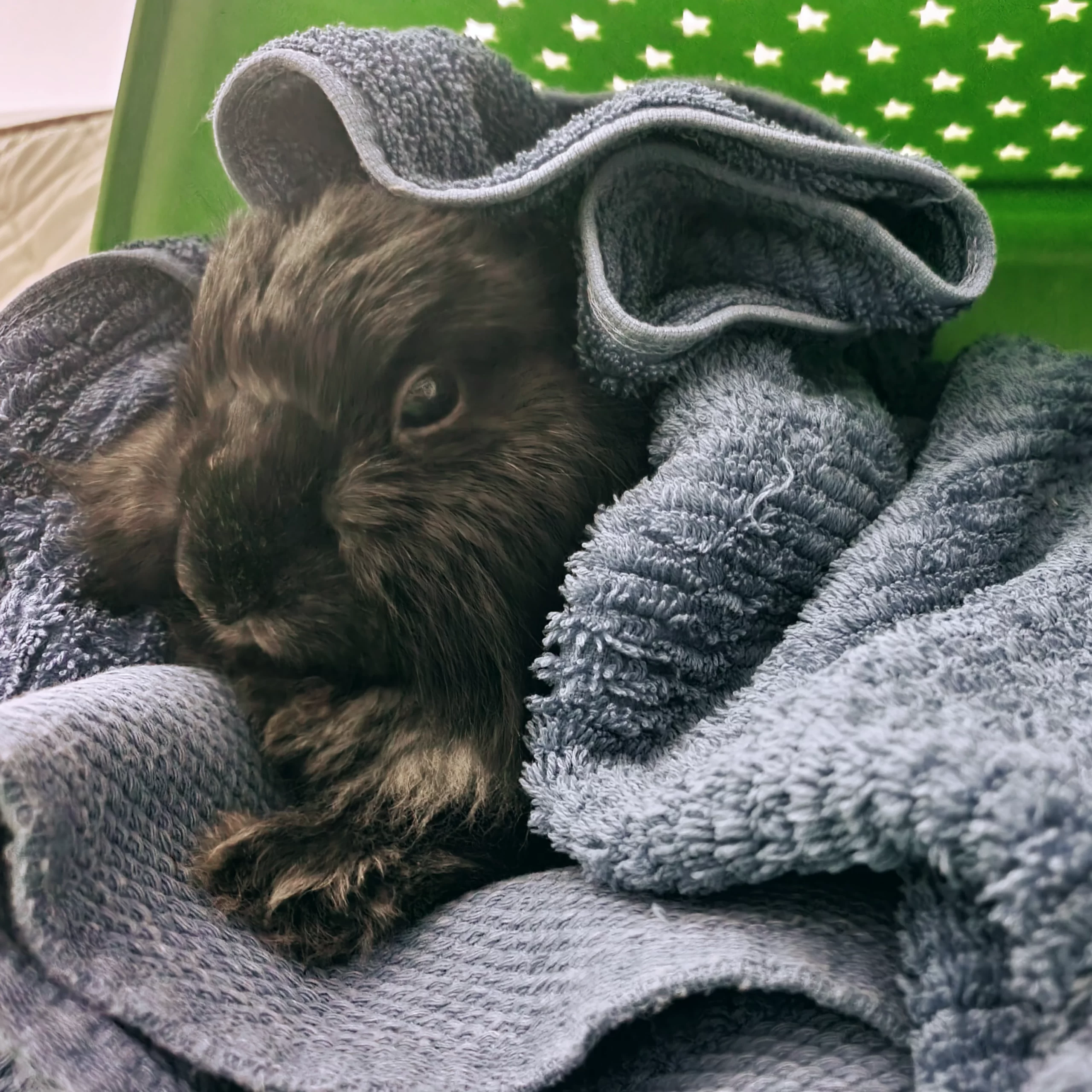 IMG_20241215_103244_197