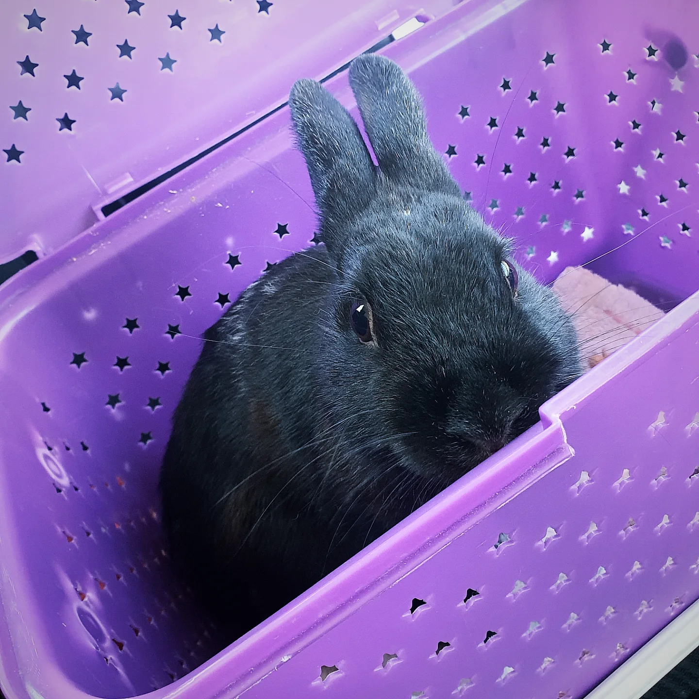 IMG_20250121_180137_678