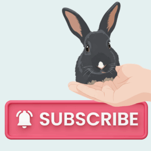 Monthly subscription