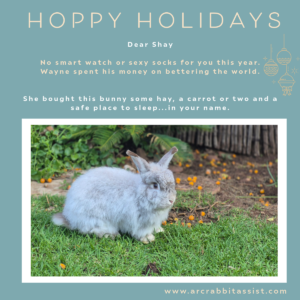 Hoppy Holidays Card - Chonks