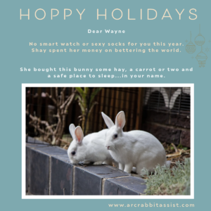 Twins